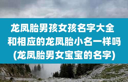 龙凤胎男孩女孩名字大全 和相应的龙凤胎小名一样吗(龙凤胎男女宝宝的名字)