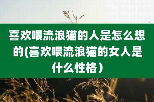 喜欢喂流浪猫的人是怎么想的(喜欢喂流浪猫的女人是什么性格)