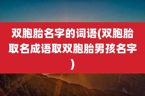 双胞胎名字的词语(双胞胎取名成语取双胞胎男孩名字)