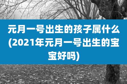 元月一号出生的孩子属什么(2021年元月一号出生的宝宝好吗)