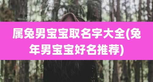 属兔男宝宝取名字大全(兔年男宝宝好名推荐)