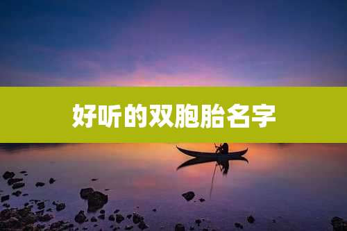 好听的双胞胎名字