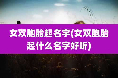 女双胞胎起名字(女双胞胎起什么名字好听)
