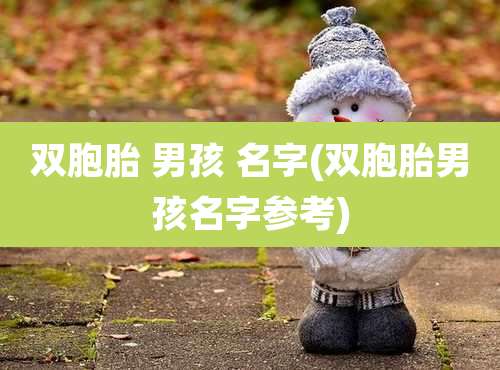 双胞胎 男孩 名字(双胞胎男孩名字参考)