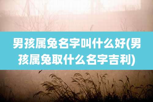 男孩属兔名字叫什么好(男孩属兔取什么名字吉利)