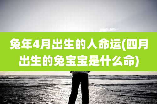 兔年4月出生的人命运(四月出生的兔宝宝是什么命)