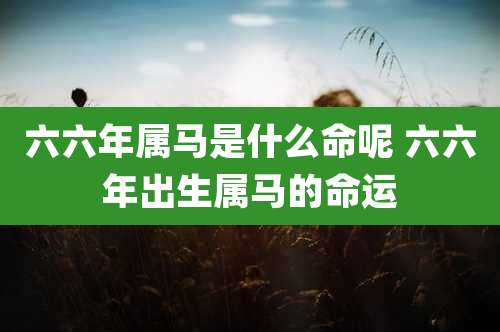 六六年属马是什么命呢 六六年出生属马的命运