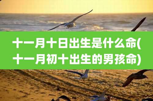十一月十日出生是什么命(十一月初十出生的男孩命)