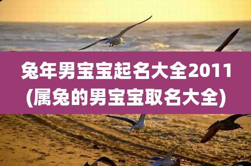 兔年男宝宝起名大全2011(属兔的男宝宝取名大全)