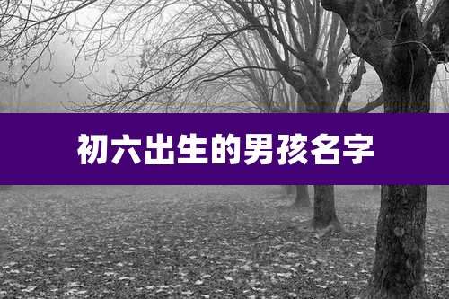 初六出生的男孩名字