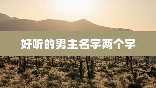 好听的男主名字两个字