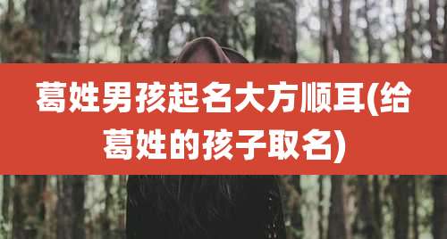 葛姓男孩起名大方顺耳(给葛姓的孩子取名)