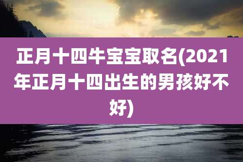 正月十四牛宝宝取名(2021年正月十四出生的男孩好不好)