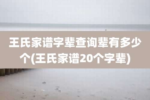 王氏家谱字辈查询辈有多少个(王氏家谱20个字辈)