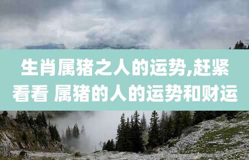 生肖属猪之人的运势,赶紧看看 属猪的人的运势和财运