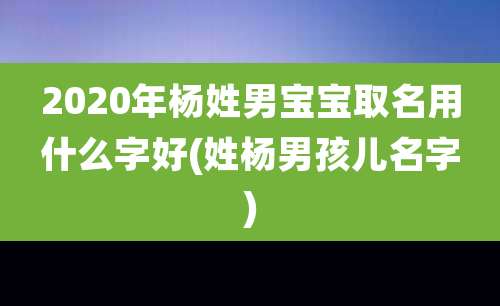 2020年杨姓男宝宝取名用什么字好(姓杨男孩儿名字)