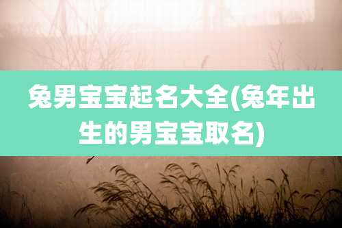 兔男宝宝起名大全(兔年出生的男宝宝取名)