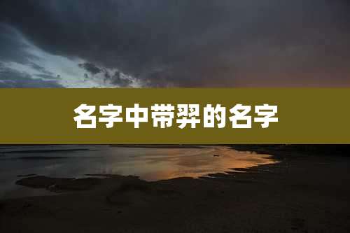 名字中带羿的名字
