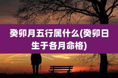 癸卯月五行属什么(癸卯日生于各月命格)