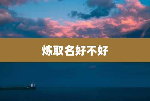 炼取名好不好