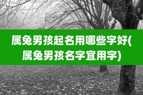 属兔男孩起名用哪些字好(属兔男孩名字宜用字)