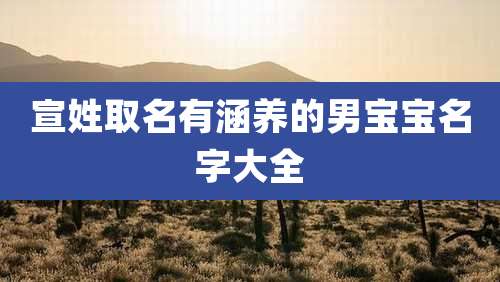 宣姓取名有涵养的男宝宝名字大全