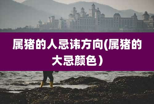 属猪的人忌讳方向(属猪的大忌颜色）