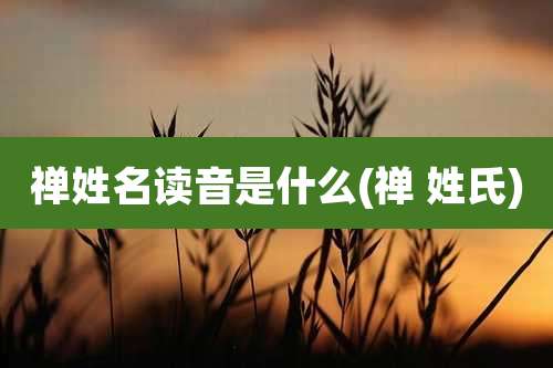 禅姓名读音是什么(禅 姓氏)