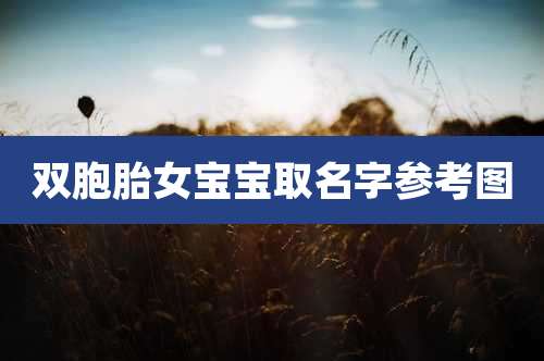 双胞胎女宝宝取名字参考图
