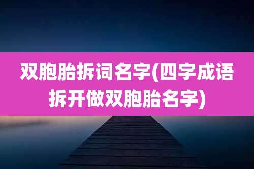 双胞胎拆词名字(四字成语拆开做双胞胎名字)