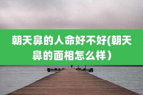 朝天鼻的人命好不好(朝天鼻的面相怎么样）