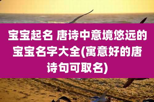 宝宝起名 唐诗中意境悠远的宝宝名字大全(寓意好的唐诗句可取名)