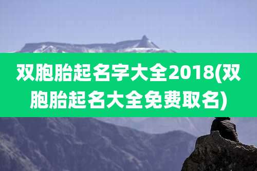双胞胎起名字大全2018(双胞胎起名大全免费取名)