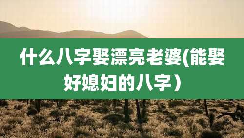 什么八字娶漂亮老婆(能娶好媳妇的八字)