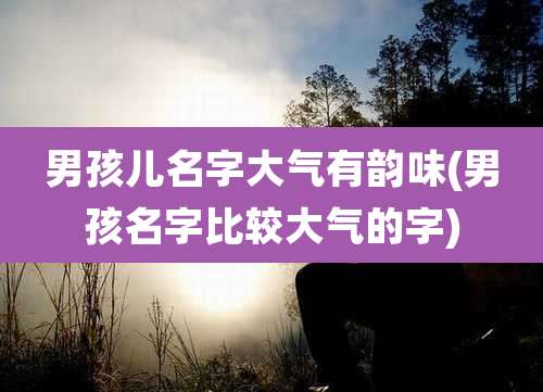 男孩儿名字大气有韵味(男孩名字比较大气的字)