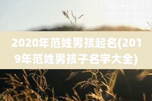 2020年范姓男孩起名(2019年范姓男孩子名字大全)