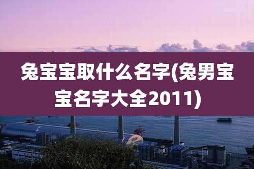 兔宝宝取什么名字(兔男宝宝名字大全2011)