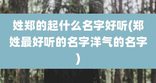 姓郑的起什么名字好听(郑姓最好听的名字洋气的名字)