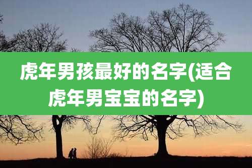 虎年男孩最好的名字(适合虎年男宝宝的名字)
