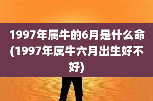 1997年属牛的6月是什么命(1997年属牛六月出生好不好)