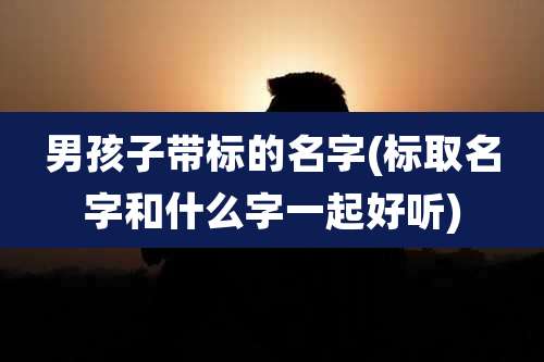 男孩子带标的名字(标取名字和什么字一起好听)