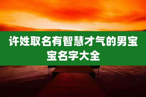 许姓取名有智慧才气的男宝宝名字大全