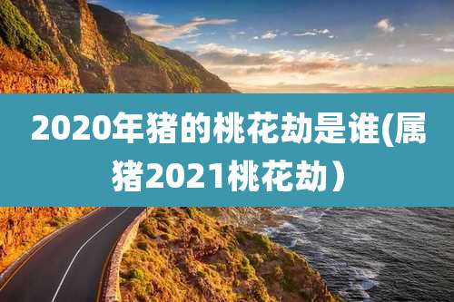 2020年猪的桃花劫是谁(属猪2021桃花劫)