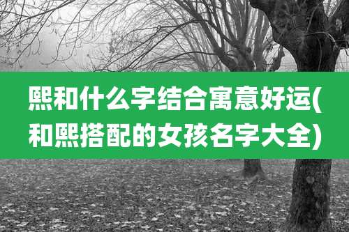 熙和什么字结合寓意好运(和熙搭配的女孩名字大全)