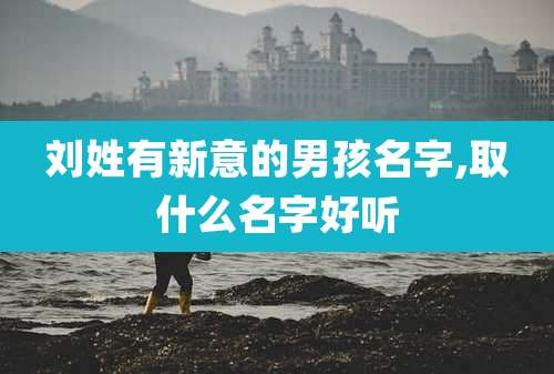 刘姓有新意的男孩名字,取什么名字好听