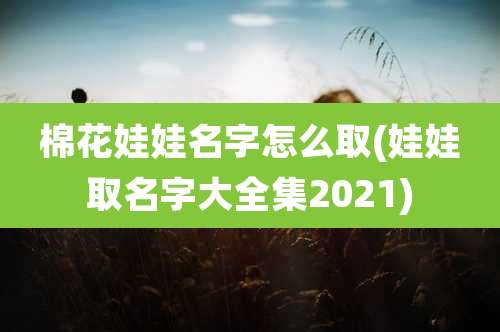 棉花娃娃名字怎么取(娃娃取名字大全集2021)
