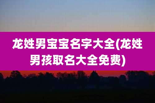 龙姓男宝宝名字大全(龙姓男孩取名大全免费)