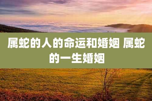 属蛇的人的命运和婚姻 属蛇的一生婚姻