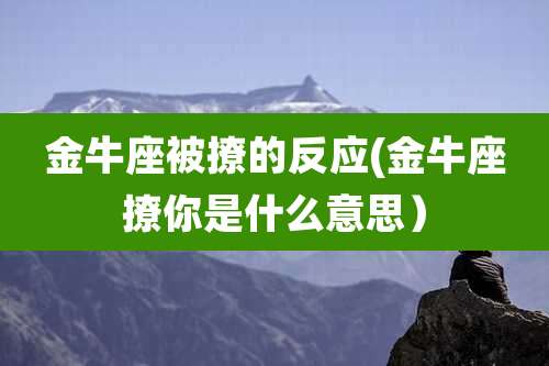 金牛座被撩的反应(金牛座撩你是什么意思）