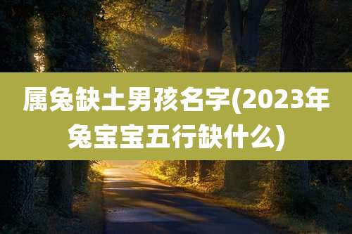 属兔缺土男孩名字(2023年兔宝宝五行缺什么)
